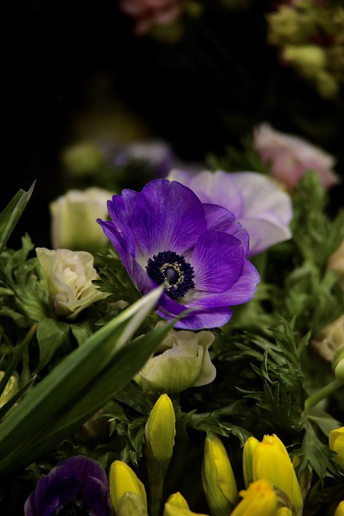 Douceur et couleurs photo 10